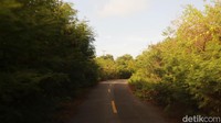 Pulau Selaru merupakan salah satu pulau pulau kecil terluar berpenghuni (PPKT) Indonesia. Luas wilayah total pulau ini adalah 3.667,86 km² yang meliputi luas daratan sebesar 353.87 km² dan luas laut untuk wilayah kelola Kabupaten (0-4 mil) sebesar 1.015,51 km² dan luas wilayah kelola Provinsi (4-12 mil) sebesar 2.298,48 km².
