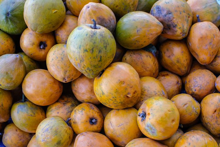Buah Alkesa