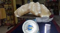 Mutiara senilai US$ 100 juta ini ditemukan nelayan di Puerto Princesa City, Filipina. Awalnya dia kira jangkarnya tersangkut di batu, ternyata mutiara sepanjang 2 kaki.