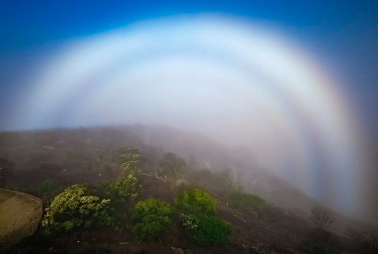 Fenomena fogbow