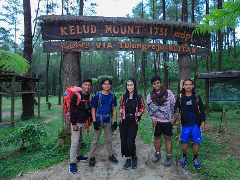 hutan pinus loji blitar