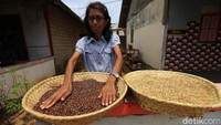 Ilmuwan menemukan beras hitam memiliki kadar antioksidan berupa antosianin (anthocyanin) yang larut dalam air. Beras hitam ini juga memiliki kadar karbohidrat yang lebih rendah dari beras biasa dengan kandungan zat besinya yang cukup tinggi. Iptek modern membuktikan kekayaan beras hitam akan kandungan vitamin, mineral dan antioksidan.