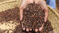 Beras hitam memiliki khasiat yang lebih baik dibanding beras merah dan beras putih. Pangan yang belum sepopuler beras putih ini berkhasiat meningkatkan daya tahan tubuh terhadap penyakit, memperbaiki kerusakan sel hati, mencegah gangguan fungsi ginjal, mencegah kanker/tumor, memperlambat penuaan, sebagai antioksidan, membersihkan kolesterol dalam darah, diabetes mellitus dan mencegah anemia.