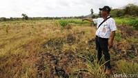 Mayoritas petani disini merupakan nasabah BRI salah satunya Levince Lerebulan yang memiliki tabungan Simpedes.