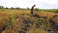 detikcom bersama BRI mengadakan program Tapal Batas yang mengulas perkembangan ekonomi, infrastruktur, hingga wisata di beberapa wilayah terdepan Indonesia. Untuk mengetahui informasi dari program ini ikuti terus berita tentang Tapal Batas di tapalbatas.detik.com.