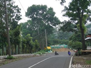 Biar Enggak Nyelonong, Begini Cara Melewati Tanjakan dan Turunan Pakai Motor Matic
