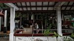 Melihat Masjid Tertua di Jakarta Utara
