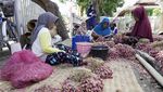 Memaknai Ketahanan Pangan di Tengah Hari Pangan Sedunia