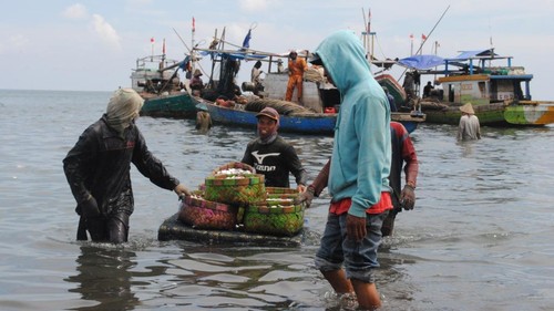Hari Pangan Sedunia tahun ini menyerukan pada semua orang mengambil tindakan dan solidaritas untuk melakukan transformasi pada sistem pertanian-pangan.