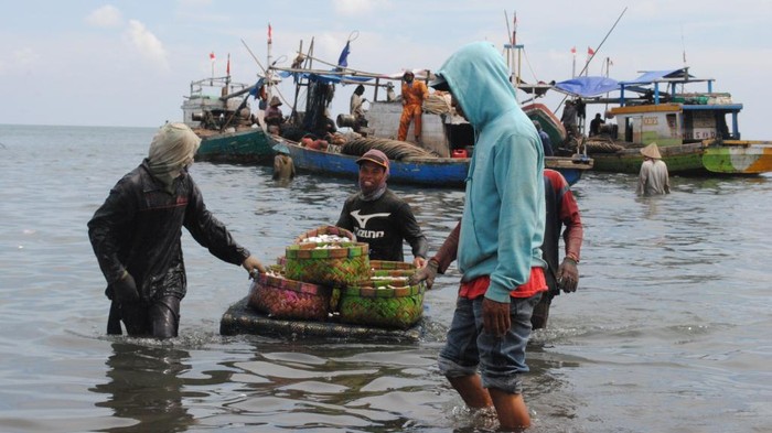 Hari Pangan Sedunia tahun ini menyerukan pada semua orang mengambil tindakan dan solidaritas untuk melakukan transformasi pada sistem pertanian-pangan.