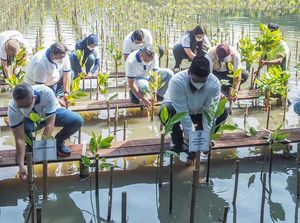 Penanaman 2.000 Bibit Mangrove di Jakarta