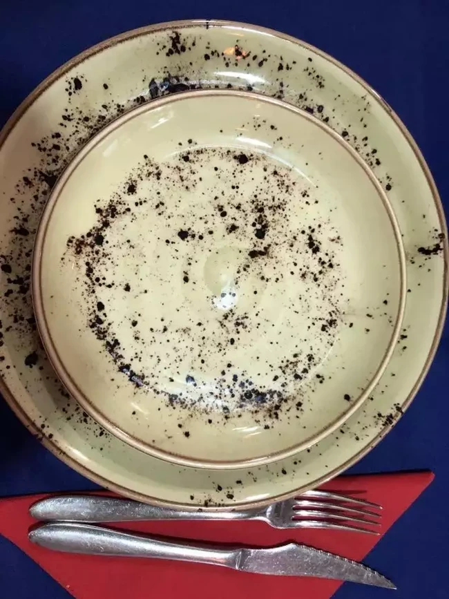 Niatnya punya piring makan estetik, tapi kalo desainnya seperti ini justru malah seperti piring makan yang belum dicuci. Ada yang punya piring makan seperti ini juga? Foto: Reddit