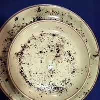 Niatnya punya piring makan estetik, tapi kalo desainnya seperti ini justru malah seperti piring makan yang belum dicuci. Ada yang punya piring makan seperti ini juga? Foto: Reddit