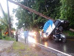 Ada Pohon Tumbang, Arus Lalu Lintas Arah Puncak Macet