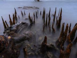 Karya Juara Kontes Foto Cagar Alam Bikin Terpana, Banyak dari Indonesia