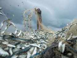 Karya Juara Kontes Foto Cagar Alam Bikin Terpana, Banyak dari Indonesia