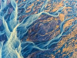 Karya Juara Kontes Foto Cagar Alam Bikin Terpana, Banyak dari Indonesia