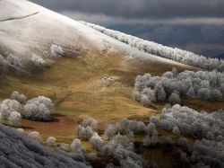 Karya Juara Kontes Foto Cagar Alam Bikin Terpana, Banyak dari Indonesia
