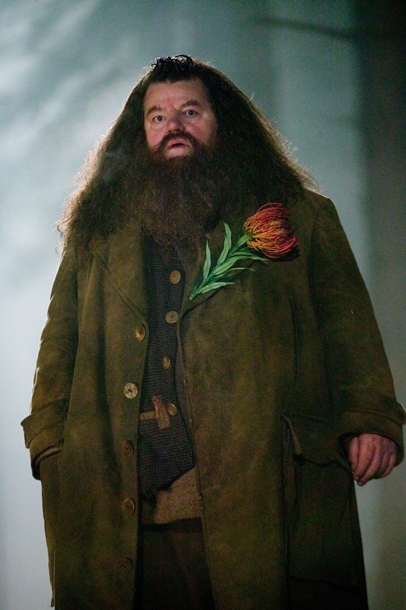 Robbie Coltrane meninggal