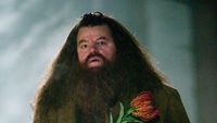 Pemeran Hagrid Harry Potter Meninggal, Begini Riwayat Sakitnya