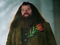 Kabar Duka, Pemeran Hagrid Di Film Harry Potter Tutup Usia