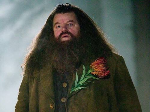 Robbie Coltrane meninggal