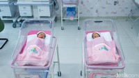 Nama anak kembar mereka yakni Alma dan Alsha. Alma artinya yang mau belajar dan Alsa adalah yang dilindungi oleh Allah SWT.  Foto: Noel/detikHOT