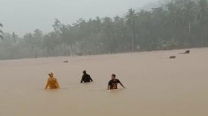 Desa Sitiarjo, Kecamatan Sumbermanjing Wetan, Kabupaten Malang kembali terendam banjir. Sungai Panguluran meluap setelah hujan deras mengguyur sejak malam tadi.