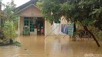 Potret Permukiman di Gabus Pati Terendam Banjir