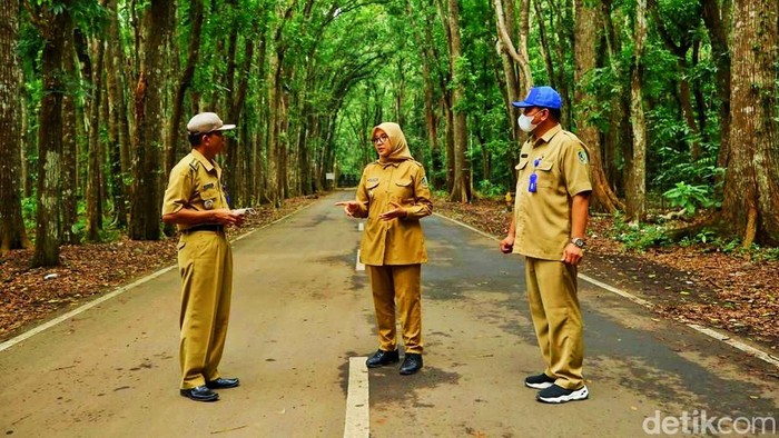 Bupati Banyuwangi Ipuk di Sukomade