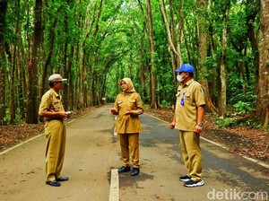 Banyuwangi Punya Wisata Triangle Diamond, Apa Saja?