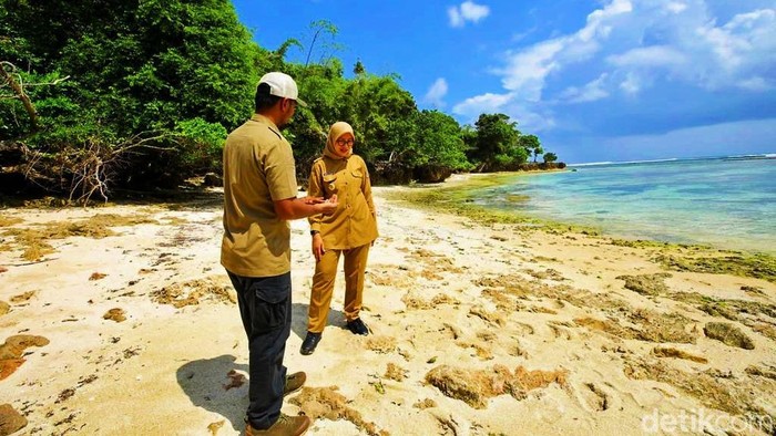 Bupati Banyuwangi Ipuk di Sukomade