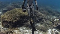 Olahraga ekstrem ini membuat tubuh Dikta nampak ideal. Ini karena free diving termasuk anaerobik yang mampu membakar banyak kalori. (Foto: Instagram @dikta).