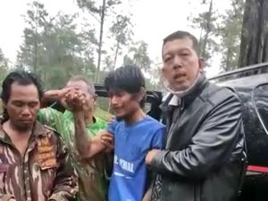 Heroik! Warga Ikut Panjat Pohon demi Bujuk Lukman yang Nangkring Turun