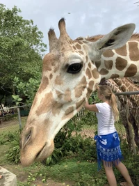 Foto mengecoh mata Foto mengecoh mata