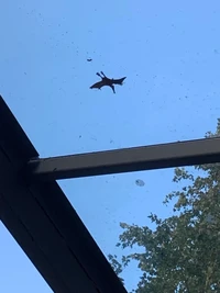 Foto mengecoh mata Foto mengecoh mata