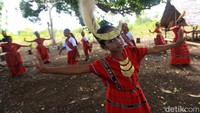Tari gemulai ini dibawakan oleh anak-anak sekolah dasar di Kandar yang memakai kostum adat lengkap, berupa setelan tenun berwarna merah, aksesori mahkota, dan topi cendrawasih yang cantik.   