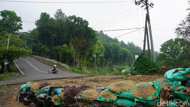 Jalur maut Cangar-Pacet