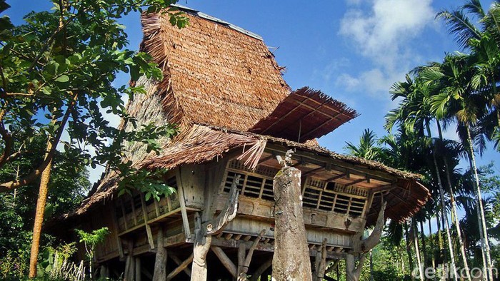 Jenis dan perbedaan rumah tradisional di Nias.