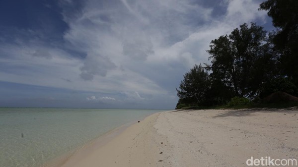 Untuk sampai ke Desa Elyasa, butuh waktu sekira 2 jam dengan menumpangi mobil dari Desa Adaut, desa terdepan sekaligus lokasi pelabuhan satu-satunya di Selaru. Medan jalan yang dilalui untuk ke sana terbilang cukup terjal, didominasi permukaan jalan berpasir dan berkerikil sehingga mobil tak bisa melaju cepat. Untuk sampai ke Desa Elyasa, butuh waktu sekira 2 jam dengan menumpangi mobil dari Desa Adaut, desa terdepan sekaligus lokasi pelabuhan satu-satunya di Selaru. Medan jalan yang dilalui untuk ke sana terbilang cukup terjal, didominasi permukaan jalan berpasir dan berkerikil sehingga mobil tak bisa melaju cepat.Â