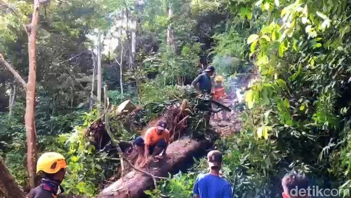 Longsor di Sumakade Banyuwangi