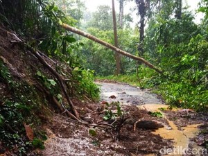 Longsor Jalur Menuju Wisata Sukamade Banyuwangi Bertambah, 2 Tebing Ambrol