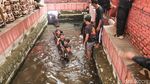 Momen Batang Kayu Keramat Diangkat dari Kolam Keramat di Cirebon
