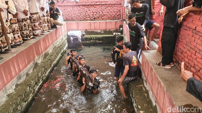 Ritual pengangkatan batang kayu di Situs Balong Keramat Pangeran Mancur Jaya, Desa Kertawinangun, Kecamatan Kedawung, Kabupaten Cirebon, Jawa Barat.
