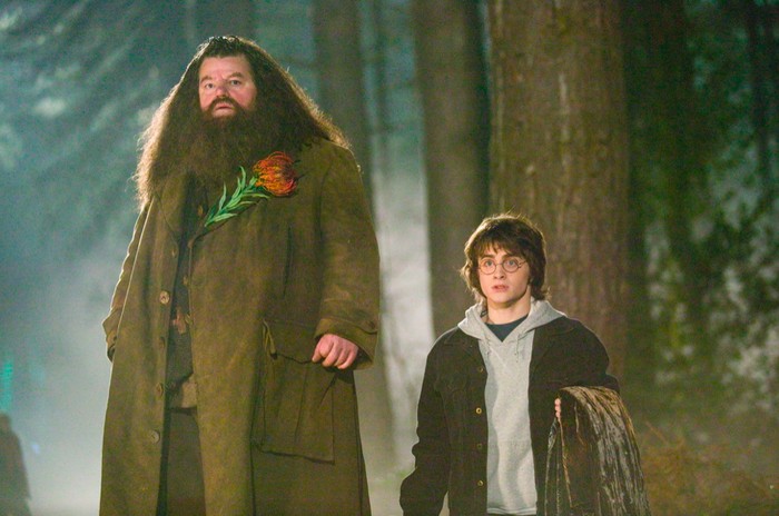 Robbie Coltrane