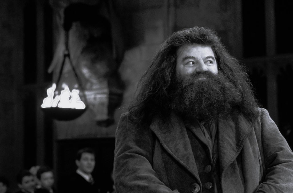 Robbie 'Hagrid' Coltrane