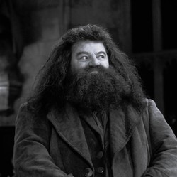 Sutradara Harry Potter Kritik Penampilan Hagrid di Serial Reboot HBO Sutradara Harry Potter Kritik Penampilan Hagrid di Serial Reboot HBO