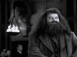 Sutradara Harry Potter Kritik Penampilan Hagrid di Serial Reboot HBO