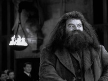 Sutradara Harry Potter Kritik Penampilan Hagrid di Serial Reboot HBO