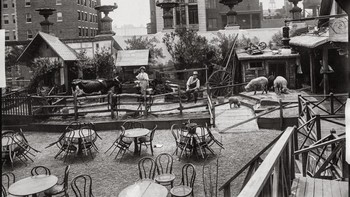 Suasa The Beer Garden di atap Belasco Theater yang ditemani oleh sapi dan domba. Foto: (vintage.es).